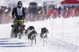 Lenk 2013